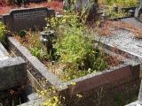 image of grave number 569632